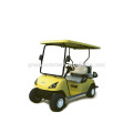 Single seat cheap golf cart with 48v 2000w brushless high frequency dc moto for sale